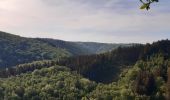 Tour Wandern Hohenfels - Nisramont - Photo 7