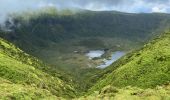 Excursión Senderismo Flamengos - FAI GR01 : De volcan en volcan, Faial, Azores - Photo 3