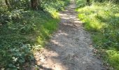 Trail Walking Maisse - Maisse - Forêt communale de Milly-la-Forêt - Photo 20