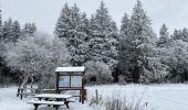 Excursión  Büllingen - Vallée perdue - Photo 1