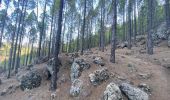 Percorso Marcia Tejeda - Roque Nublo (Gran Canaria) - Photo 2