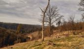 Trail Walking Hamoir - trek GR57 jour 4 : Hamoir - Bomal-sur-Ourthe - Photo 11