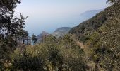 Tocht Stappen Vernazza - RA 2019 Cinque Terre Corniglia Vernazza - Photo 7