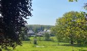 Trail Walking Paliseul - Maissin, pvl juillet 2025 - Photo 10