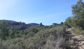 Tour Wandern La Ciotat - la Ciotat grotte Fardeloup - Photo 1