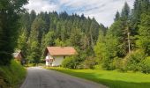 Tour Wandern Loitsch - Rovte, Rovte, Slovenija - Photo 13