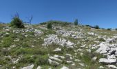 Tour Wandern Vence - Puy de Tourrettes et plateau de Saint Barnabé - Photo 5