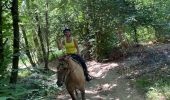 Trail Horseback riding Beaufort - Chez nous à chez Bertrand  - Photo 5