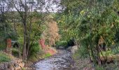 Trail Walking Theux - franchimont-maché . chinru - retour - Photo 1