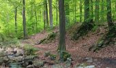 Randonnée Marche Spa - barisart . geronstere . creppe . barisart - Photo 14