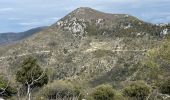 Tour Wandern Castillon - Castillon : Mt Ours - Photo 16