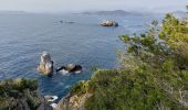 Tocht Stappen Hyères - Giens boucle ouest - Photo 2