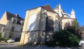 Tour Zu Fuß Joigny - Boucle 25 km Joigny La Roche - Photo 14