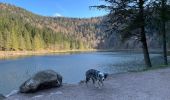 Tocht Stappen La Bresse - Tour du Lac aux Corbeaux  - Photo 2