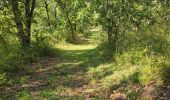 Tour Wandern Buno-Bonnevaux - Buno-Bonneveaux - Polissoir de Grimery - Photo 17