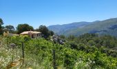 Trail Walking la Vall de Laguar - Benimaurell 250525 - Photo 15