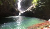 Trail Walking Bouillante - Cascade bois malasé - Photo 1