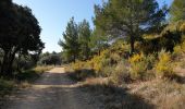 Trail Walking Gémenos - Coulin, Mont Cruvelier, Sommet de Bigou - Photo 2