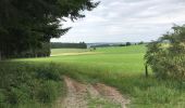 Trail Walking Libramont-Chevigny - Flohimont Freux 29 km - Photo 6