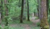 Trail Mountain bike Saint-Clément - sortie vtt du 1er mai vathimenil Grand rupt  - Photo 5