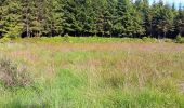 Excursión Senderismo Spa - aérodrome. bois des vieilles fagnes . malchamps . retour le long de la fagne  - Photo 17