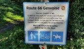 Trail Walking Gesves - un samedi a Gesvres.  ????? - Photo 1