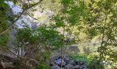 Excursión Senderismo Le Bourg-d'Oisans - Bourg d'Oisans les cascades - Photo 14