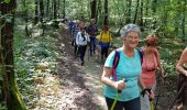 Trail Walking Champlecy - champlecy - Photo 7