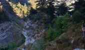 Randonnée Marche Beauvezer - les gorges st pierre. Colmars les Alpes. Villars  - Photo 8