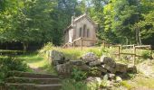 Tour Wandern Vexaincourt - Le charme mystérieux du lac de la Maix - Photo 12