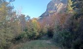 Tour Wandern Le Castellard-Mélan - MELAN . Col de Mounis  , sommet du Corbeau o l s - Photo 7
