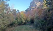 Tocht Stappen Le Castellard-Mélan - MELAN . Col de Mounis  , sommet du Corbeau o l s - Photo 7