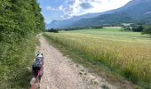 Trail Walking Claix - Colline de Comboire - Photo 15