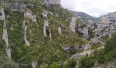Tour Wandern Bierge - RODELLAR - boucle du baranco du Mascun par les vires - Photo 7