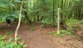 Trail Walking Vielsalm - Vielsalm 270625 - Photo 7