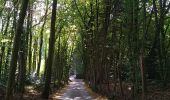 Tour Wandern Sentheim - Marché au marcher 3  - Photo 4