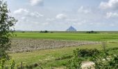 Tour Wandern Courtils - La Roche Torin - le bas courtils - Photo 6