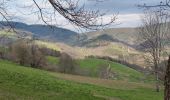 Trail Mountain bike Fréland - Voirimont Barlin Chamont - Photo 1
