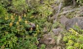 Excursión Senderismo La Possession - Tour du Piton des Neiges par le petit GRR1 / J2 - Photo 1