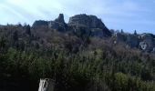 Trail Walking Gresse-en-Vercors - Le tour du palais - Photo 12