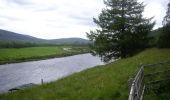 Tour Zu Fuß Unknown - Ballater/Cambus o'May loop - Photo 4