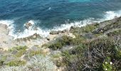 Tocht Stappen Calvi - Tour de la Revellata - Photo 5