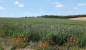 Tour Wandern L'Île-Bouchard - l'île-Bouchard - Brizay Theneuil Parçay-sur-Vienne - 24km 300m 5h10 (1h05) - 2024 07 24 - Photo 7