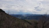 Excursión Senderismo Les Plans - Les Plans - Plateau du Grézac - Photo 4