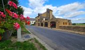 Tour Wandern Florenville - Balade à Chassepierre - Photo 16