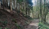 Trail Walking Comblain-au-Pont - pont de sçay . oneux . comblain-au-pont . tour st Martin . roches noires . pic Napoléon.  pont sçay  - Photo 17