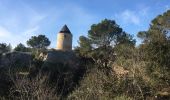 Excursión Senderismo Fontvieille - Fontvieille - Les moulins de Daudet - Photo 10