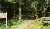 Tocht Stappen Plancher-les-Mines - Cascades de la Goutte des Saules - Belvédère - Grotte St Antoine - Photo 16