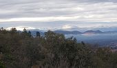 Excursión Senderismo Roquebrune-sur-Argens - La haute Cavalière - Photo 8