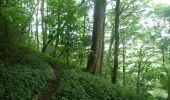 Tocht Te voet Malvern Hills - Abberley Circular Walk - Photo 10